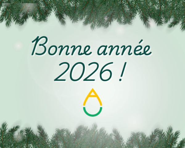 Bonne année !(1)